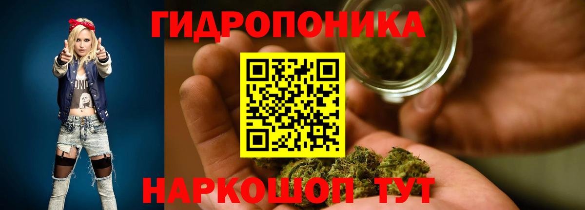 Бошки Шишки план  Шишки марихуана марихуана  Марихуана семена  Вход с VPN  Вязьма 
